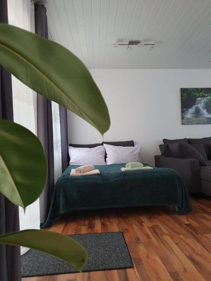 Haus Damian Lägenhet Traben-Trarbach Exteriör bild